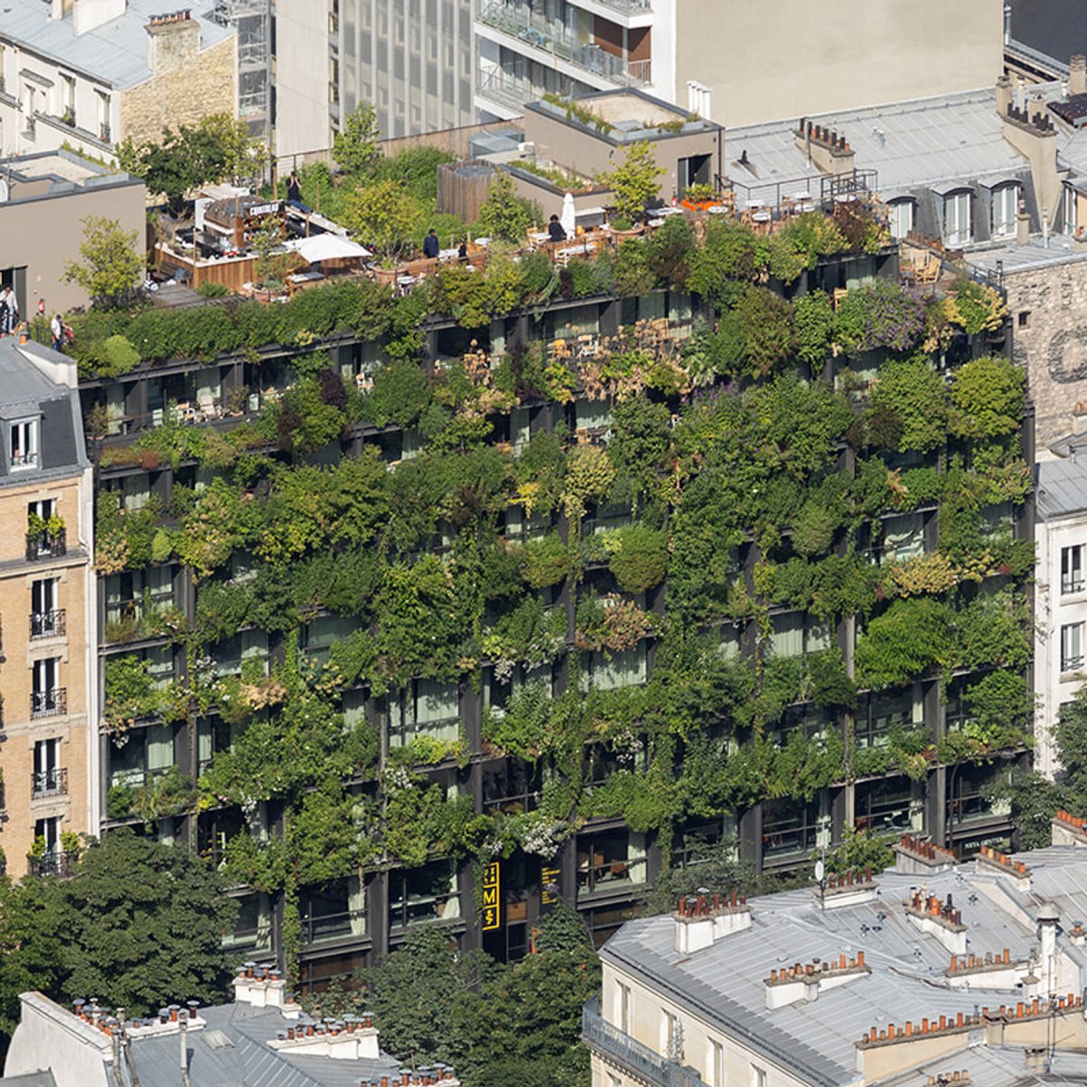 パリの市民投票、3回目のテーマは「緑化」。植物が増えて街が涼しくなる？