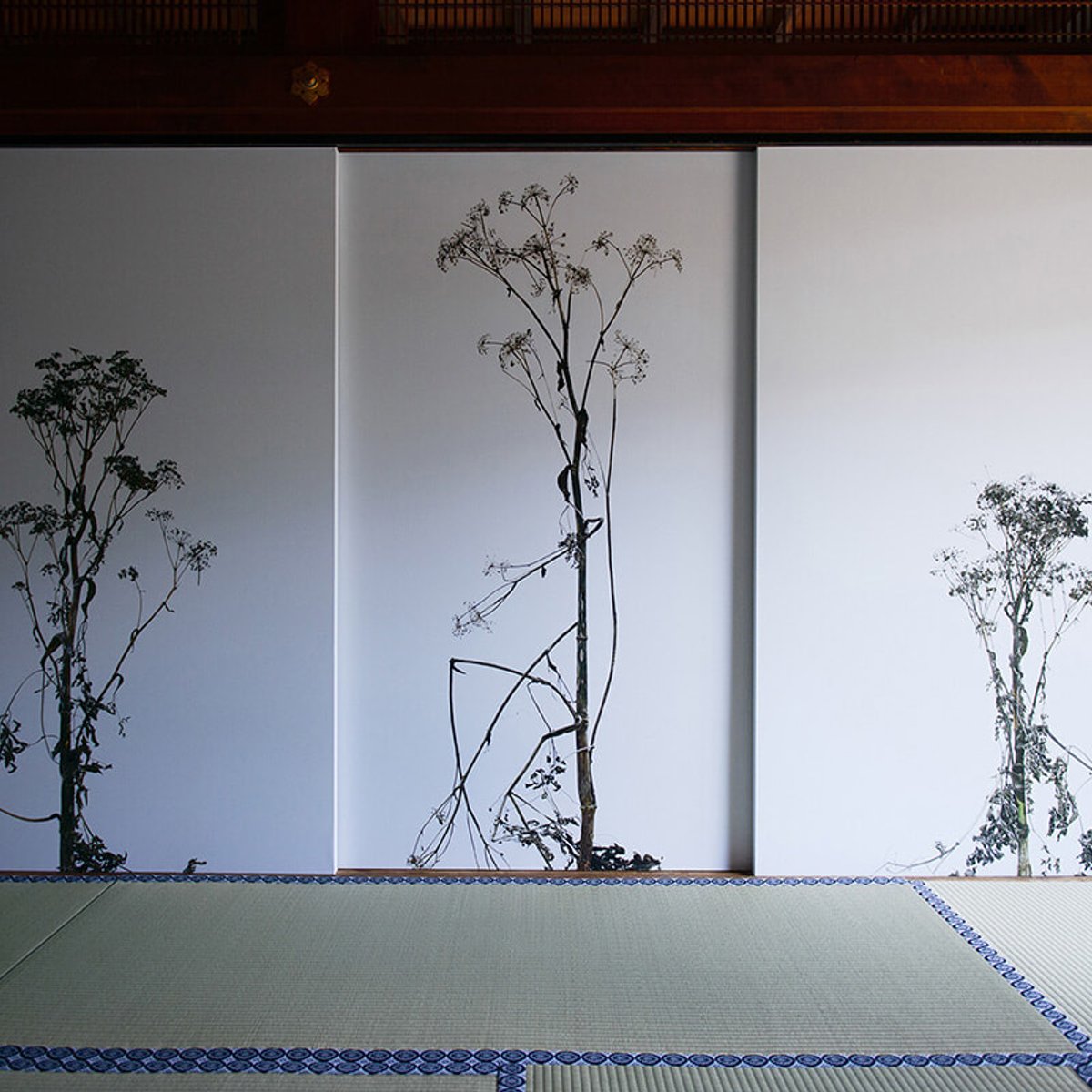 KYOTOGRAPHIE、両足院で観るエリック・ポワトヴァンの空間美。