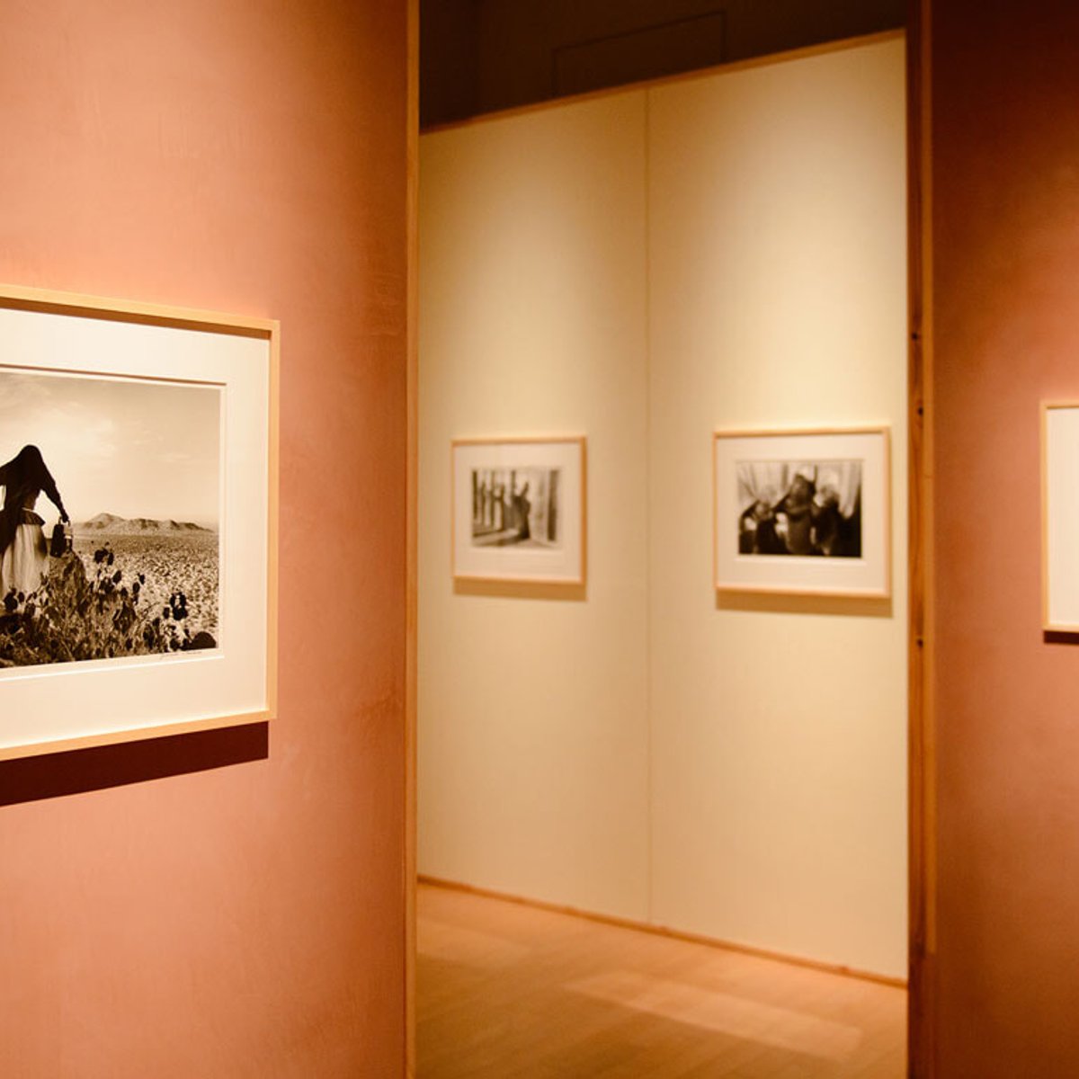 今年のテーマはヒューマニティ、『KYOTOGRAPHIE 京都国際写真祭 2025』の見どころを紹介！【前編】