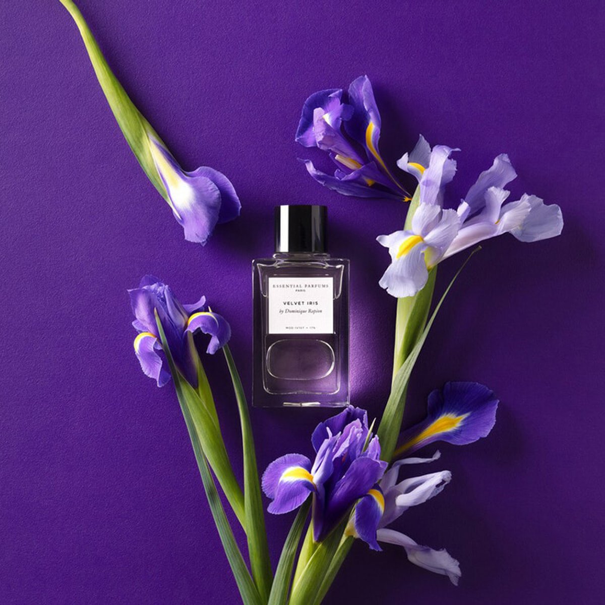 エッセンシャル・パルファン、新作はドミニク・ロピオンのアイリスの香り