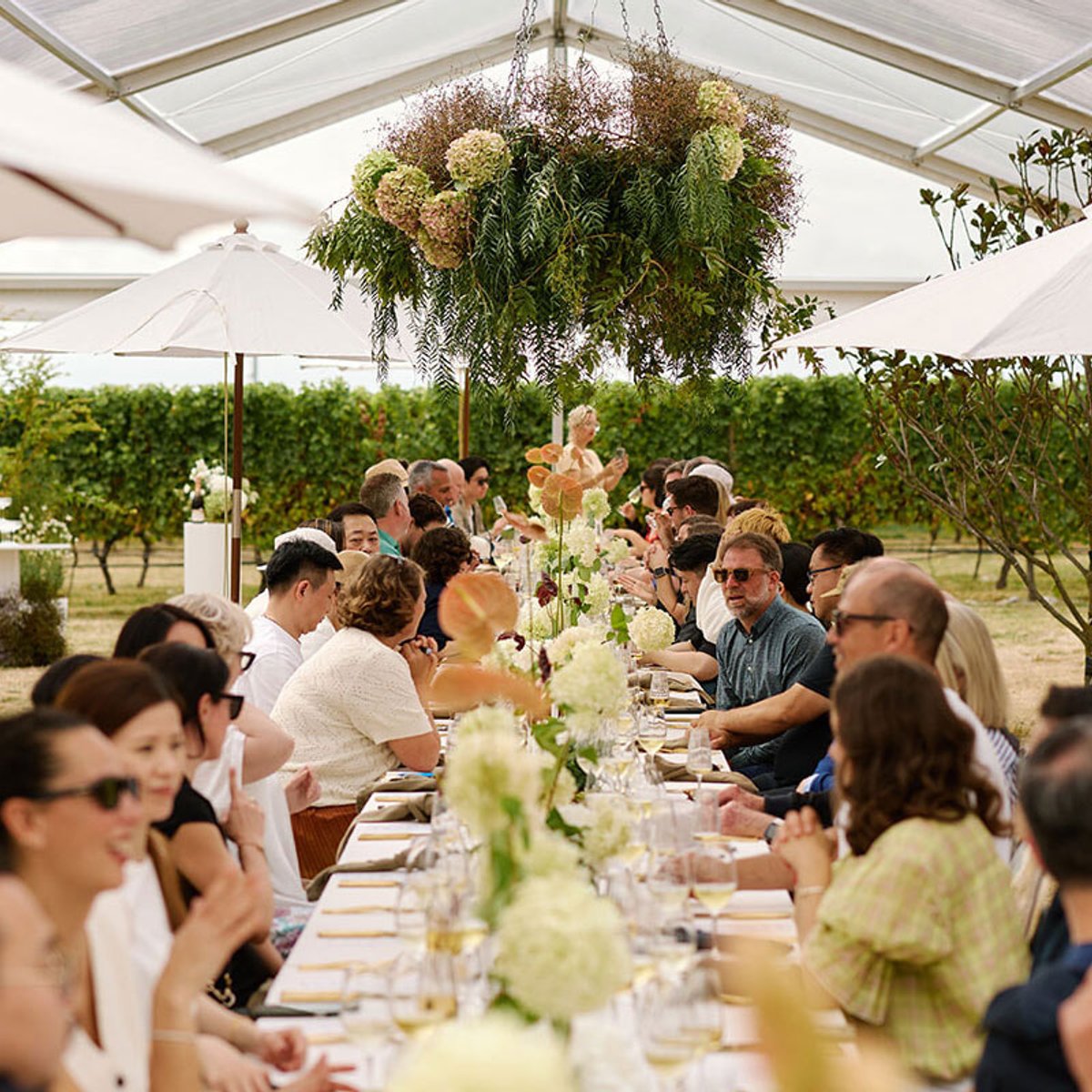 クラウディー ベイ誕生40年、ブドウ畑と大自然の饗宴。