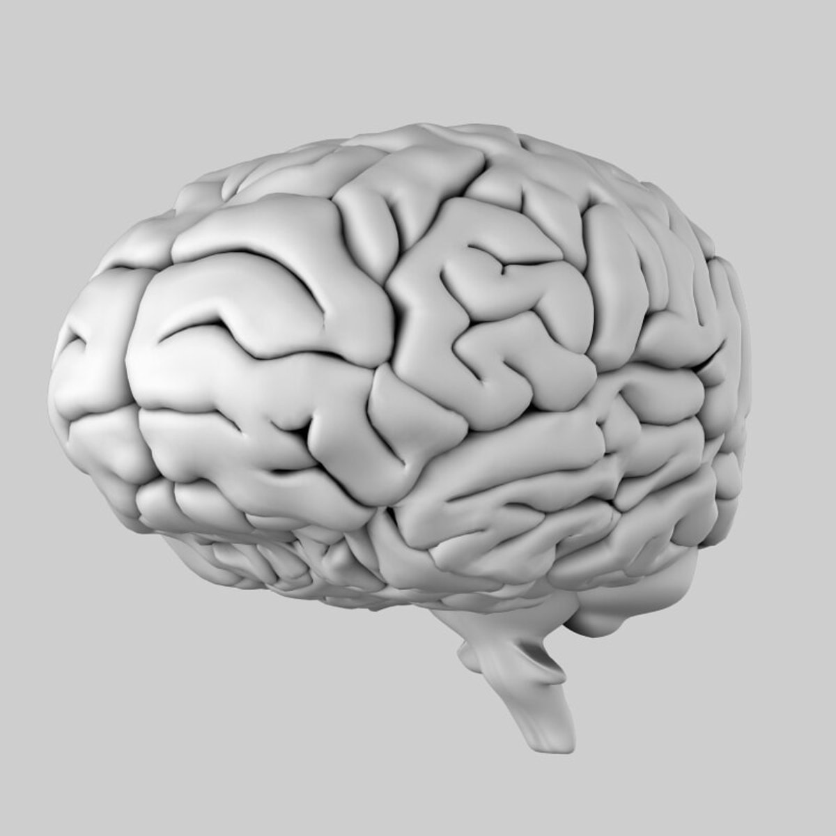 口から入ったマイクロプラスチックの行く先は「脳」だった？…高濃度で含まれる意外な「食べ物」とは。