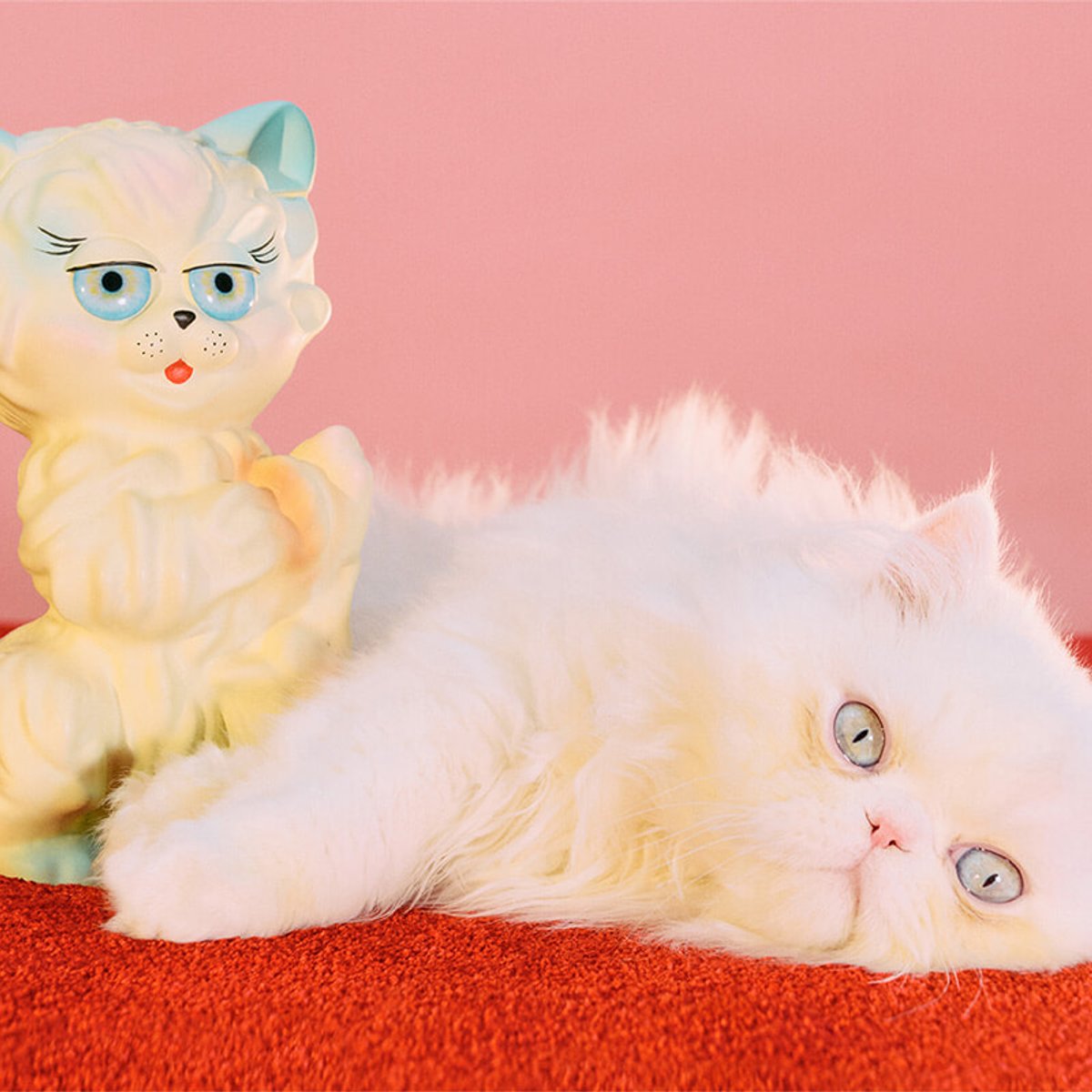 メゾン ヴァレンティノの新マスコット「ル シャ デ ラ メゾン」が日本各地のストアをツアー中！