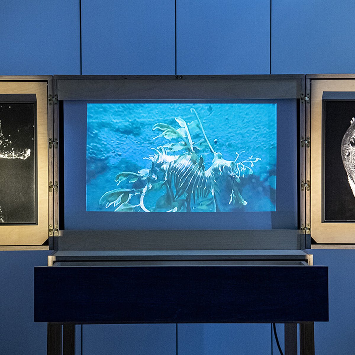 南仏ヴィラ・カルミニャックの展覧会『めまい』と大阪・関西万博のトランク・ミュージアム。