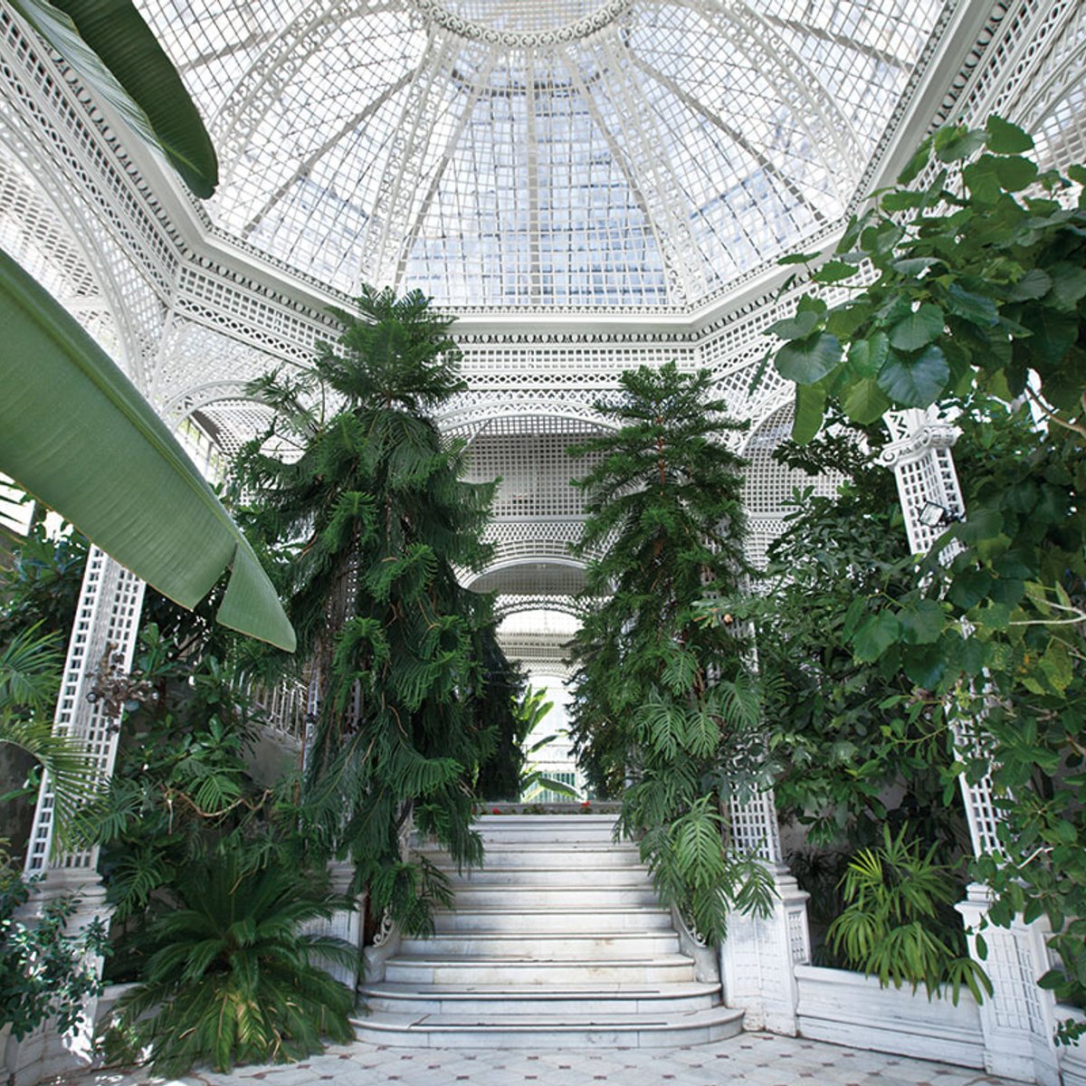 パリに佇む隈研吾建築。世界中の写真が集まる美術館とデザインされた庭園へ。