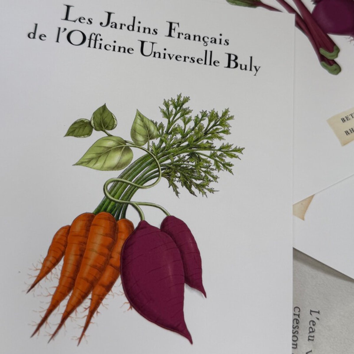 暑すぎて出かけたくない日に出かけたくなるビュリーの香るポップアップ。