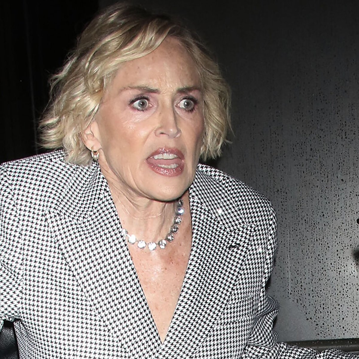 「彼は私をパートナーにしたくないと思う」シャロン・ストーンが『氷の微笑』撮影前のマイケル・ダグラスとの激しい口論を語る。