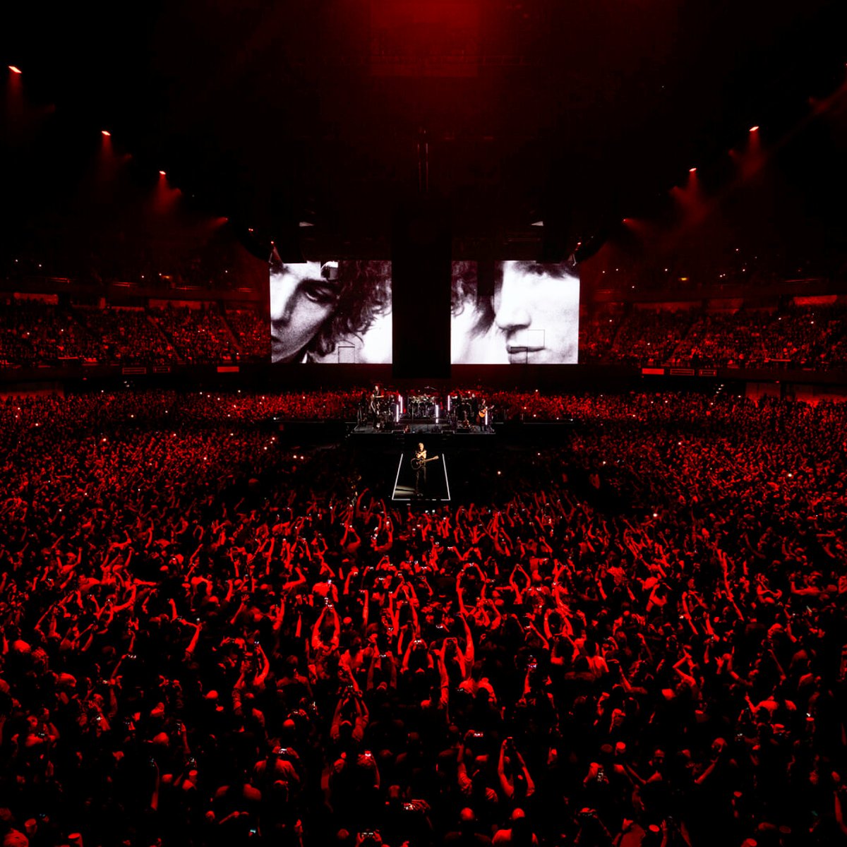 音楽とメッセージを融合させた、ロジャー・ウォーターズの圧倒的ライヴ映像。