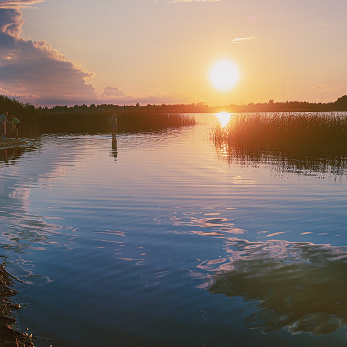 詩人で映像作家ジョナス・メカスの故郷、リトアニアのビルジャイへ。