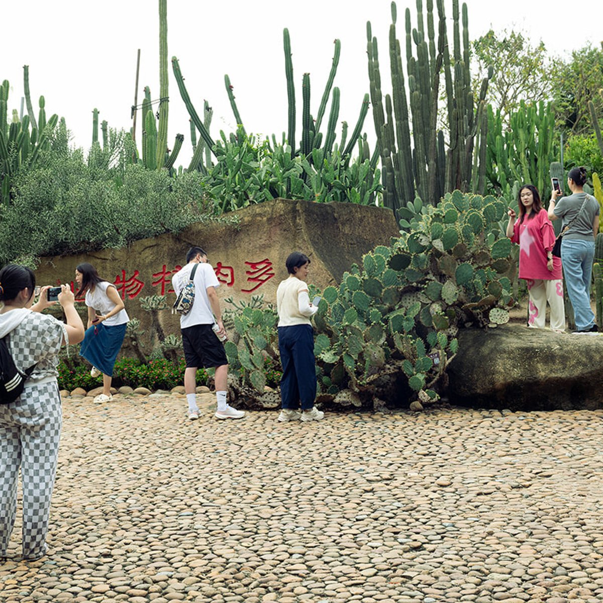中国沿岸部の厦門で知る、世界のおもしろさ。