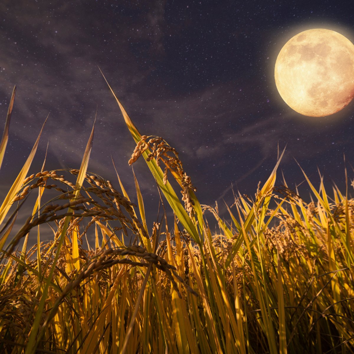 9月は特別な満月「ハーベストムーン」月食と土星の接近も重なる夜。注目の星座は？