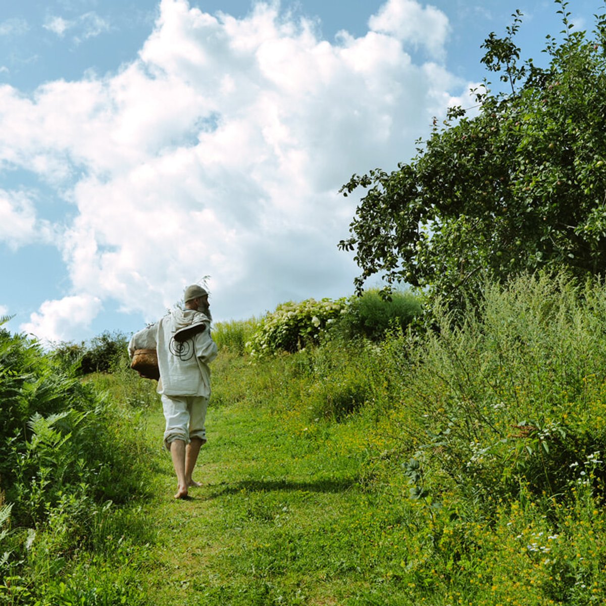 美味なるドライハーブティーの故郷を訪ね、リトアニアのアニクシャイへ。