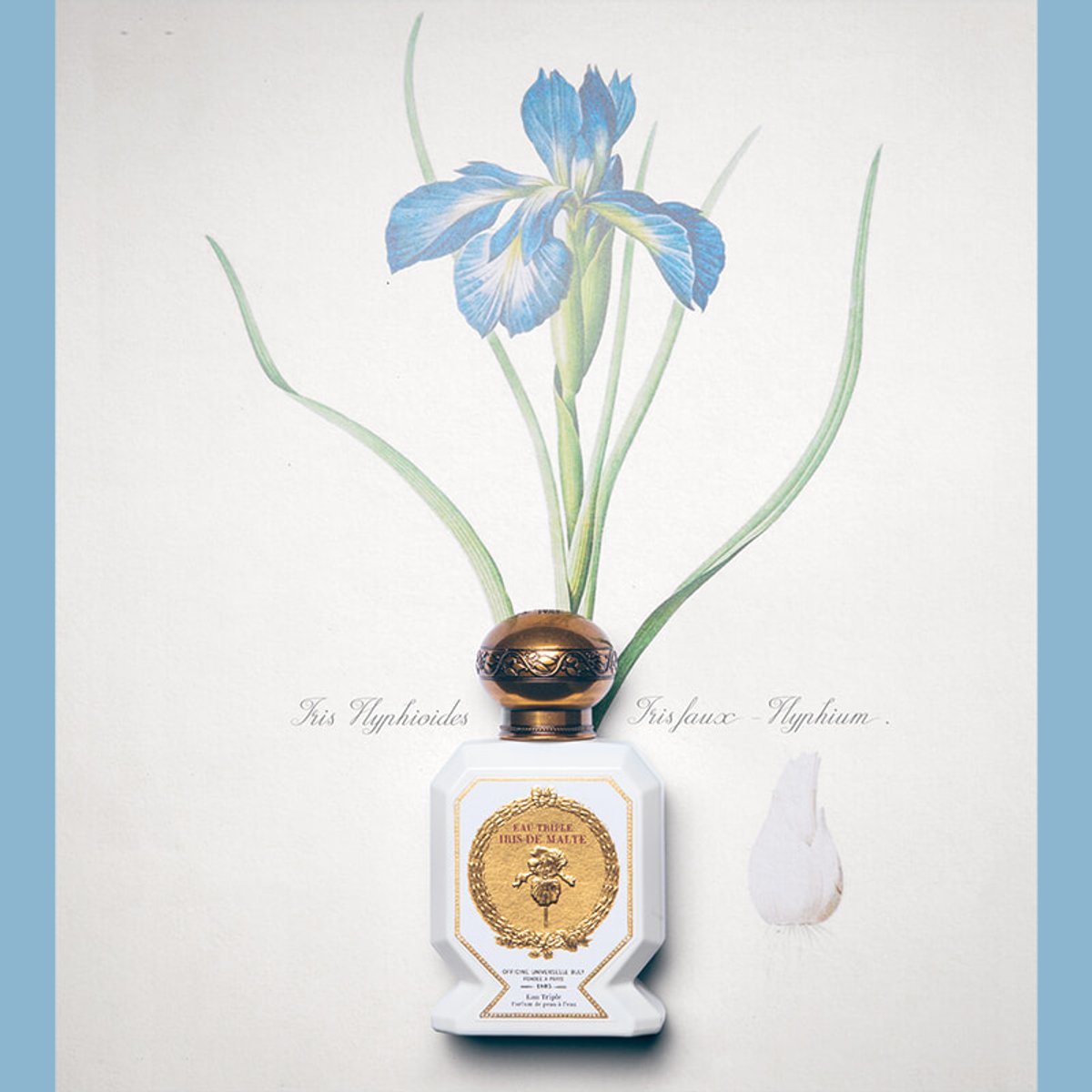 【受付終了】香りの歴史を辿り、自己理解を深める。オフィシーヌ・ユニヴェルセル・ビュリーのワークショップに18名様ご招待。