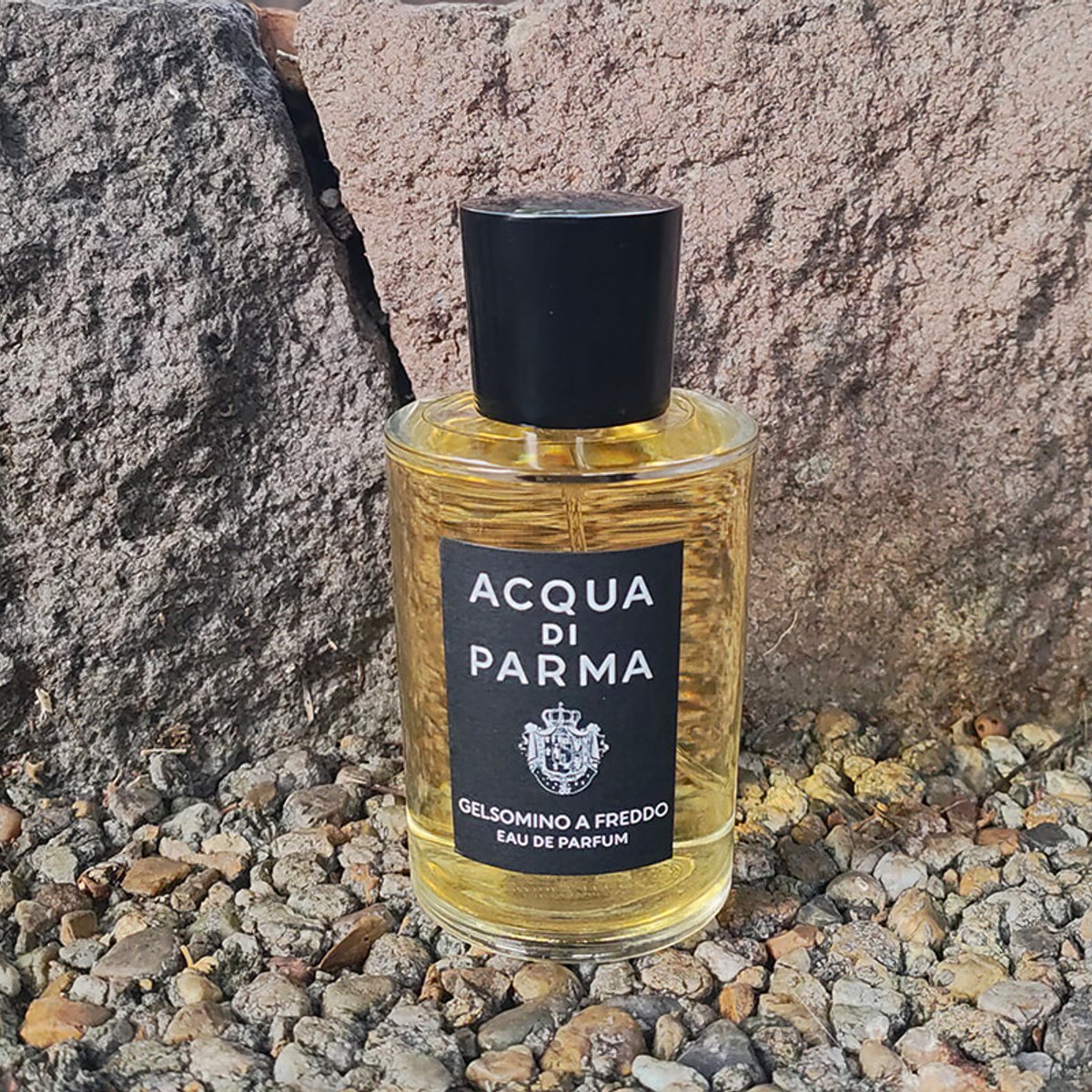 新月の今宵は、新しいジャスミンの香りを纏いたい気分。