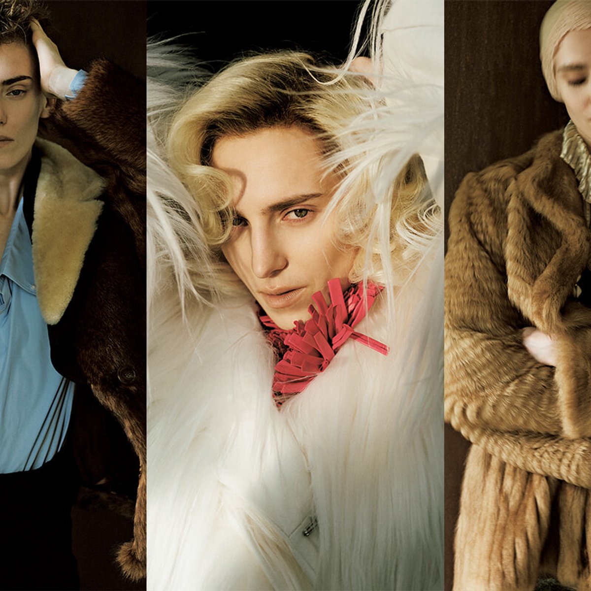 愛しのファーよ、お帰りなさい。