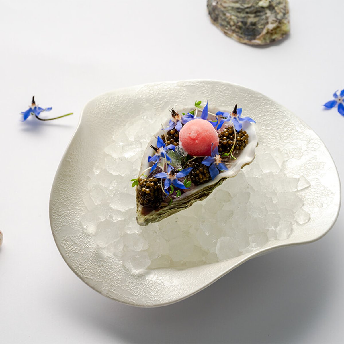 【パリ】日本人シェフとして初めて辿り着いた最高峰。レストラン・ケイが魅せる「グランメゾン」の世界。