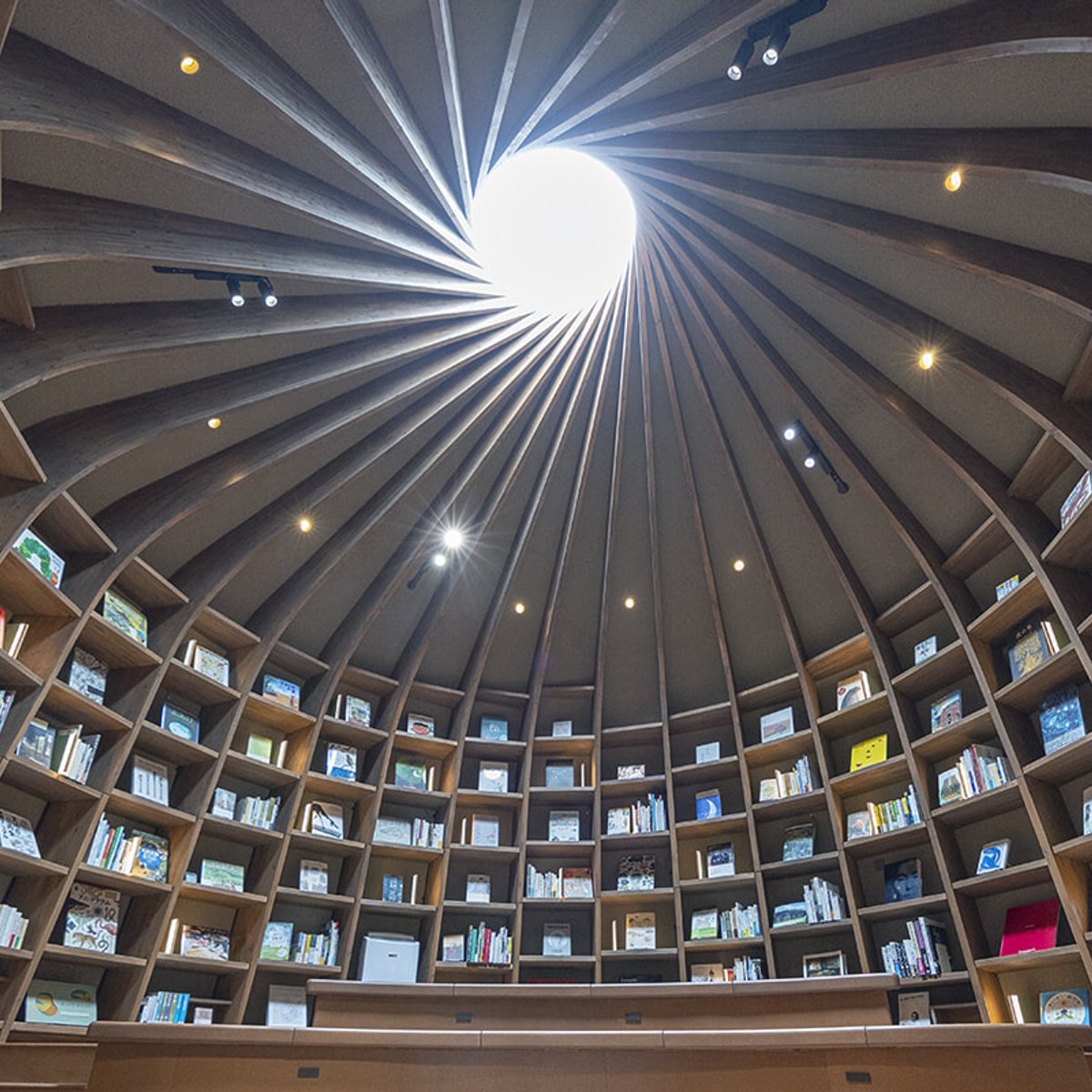 都心から1時間！ 千葉・木更津「クルックフィールズ」はグルメも本もアートも、宿泊まで揃う充実スポット。