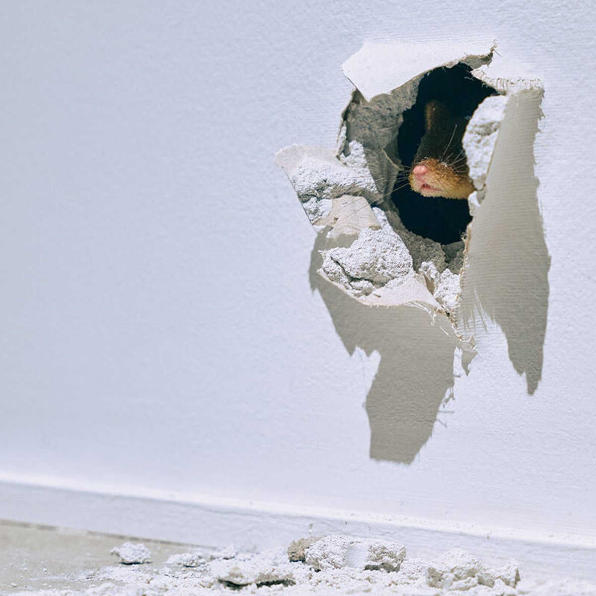 【岡山アート旅】いつもの風景に、現代アートがもたらす新体験とは？