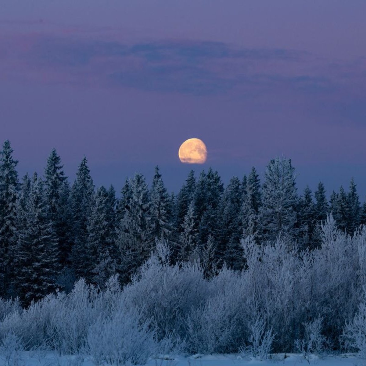 2025年最後の満月は12月5日。双子座の満月からのメッセージ。
