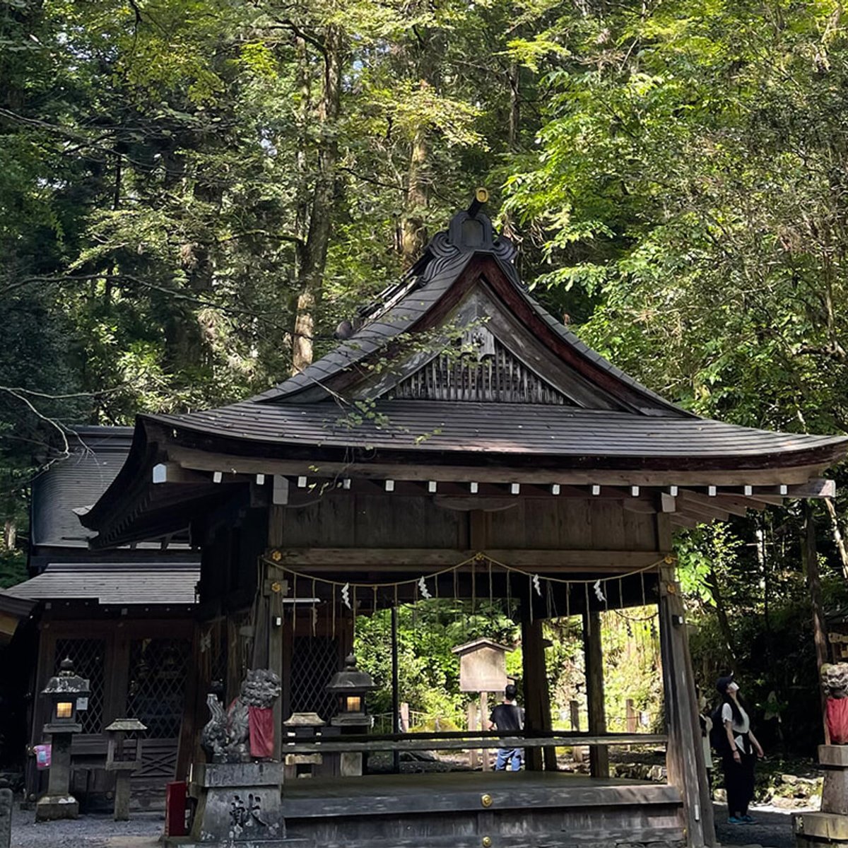 2026年に参拝したい、おすすめ神社3選！