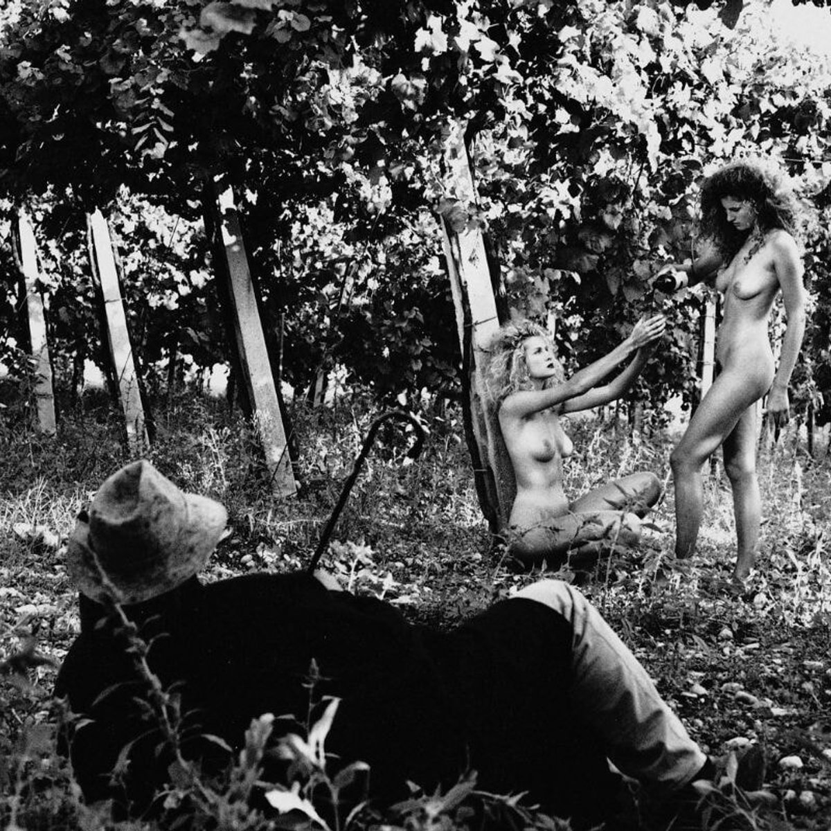 新年は帝国ホテル 東京、「カ・デル・ボスコ」のドサージュ・ゼロで乾杯！ 11人の写真家によるアートと泡を味わって。