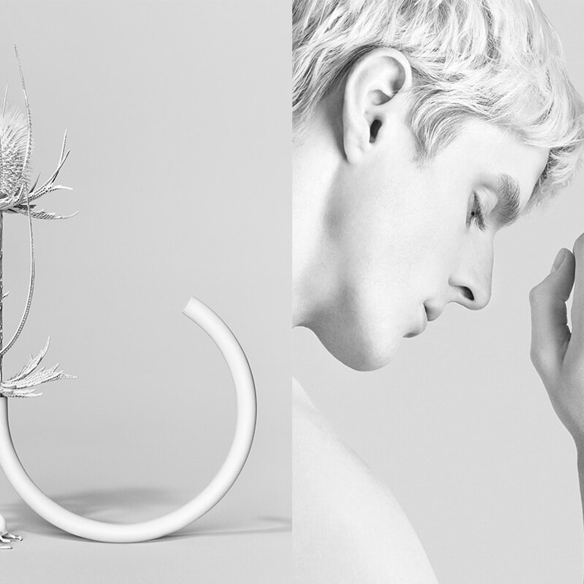 ブシュロンのハイジュエリー、移りゆく自然を6つの生物多様なコンポジションで表現。