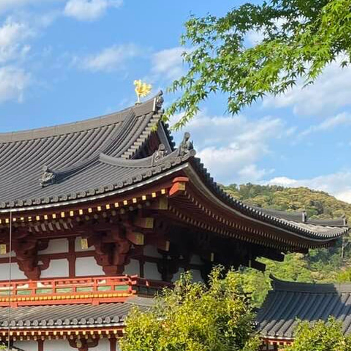 【京都ひとり旅】2泊3日で巡る国宝&老舗グルメ！ 優雅に満喫する幸福プラン。