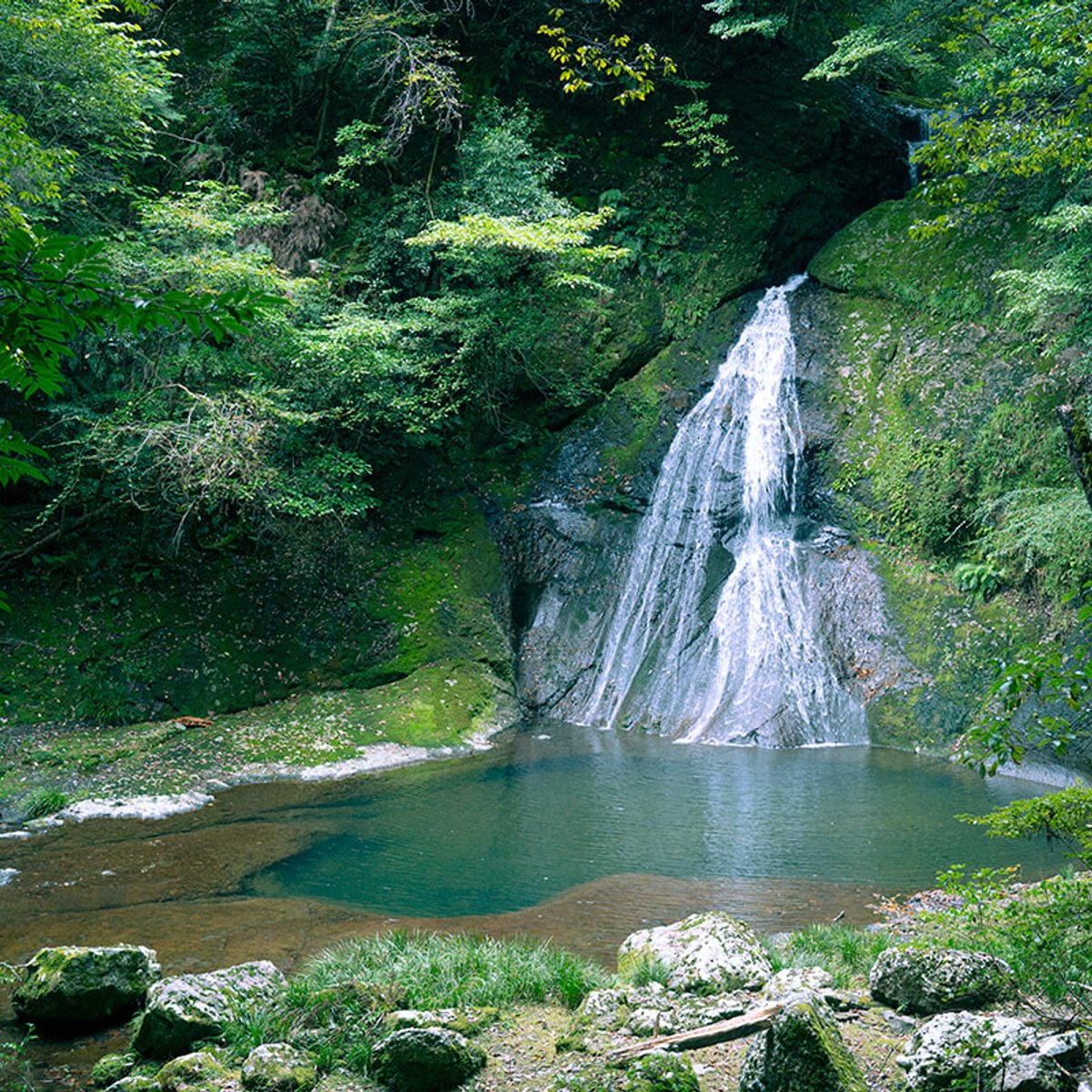 和歌山・熊野で体験する、時空を超えた神秘的な瞬間。