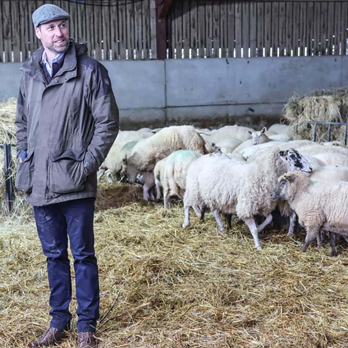 「ウィリアム皇太子」と「羊」が並ぶ姿が話題に。「一年で最も憂うつな時期」の農場に訪れた理由。