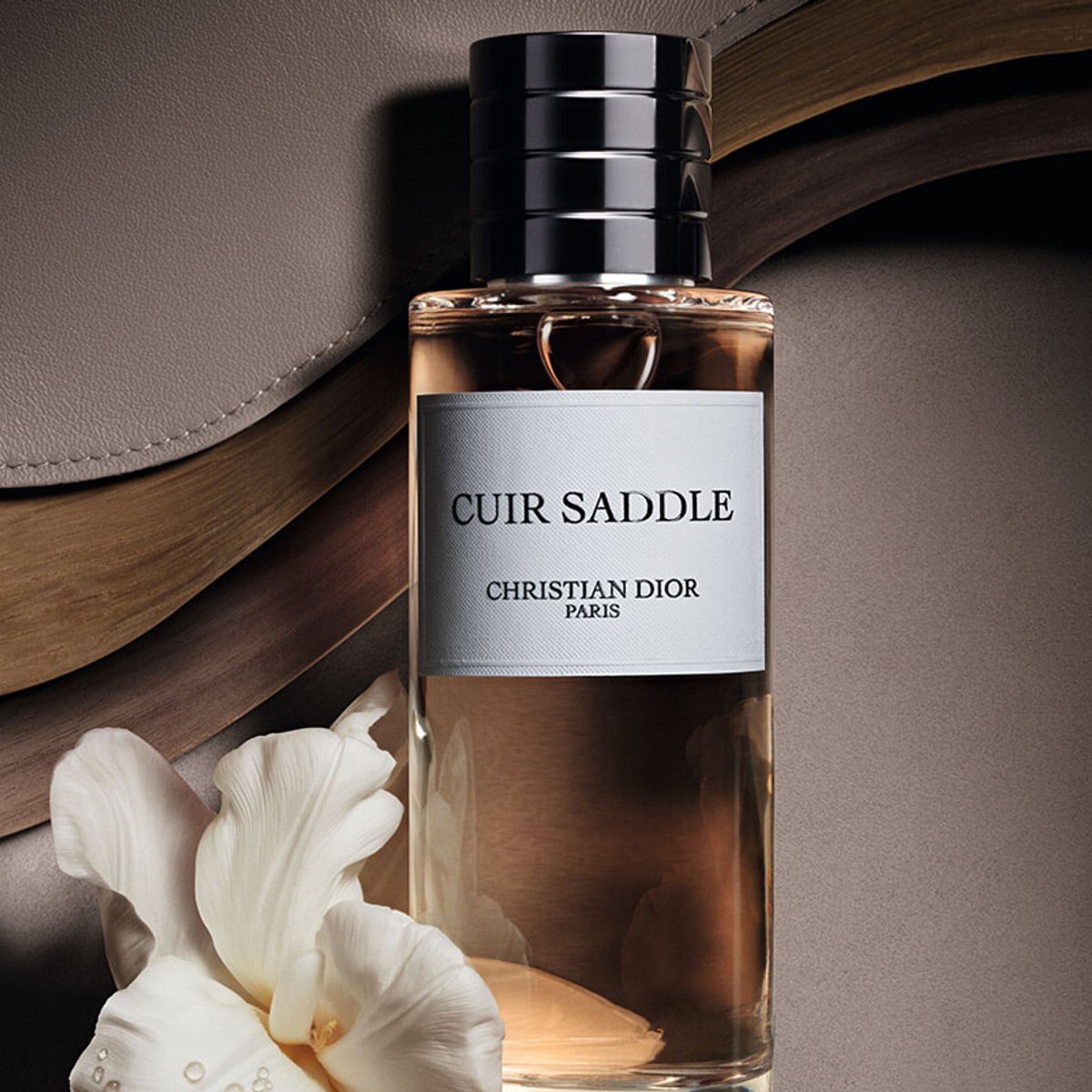 「サドル」バッグから香りへ、フランシス・クルジャンが描くディオールのレザーの美学。