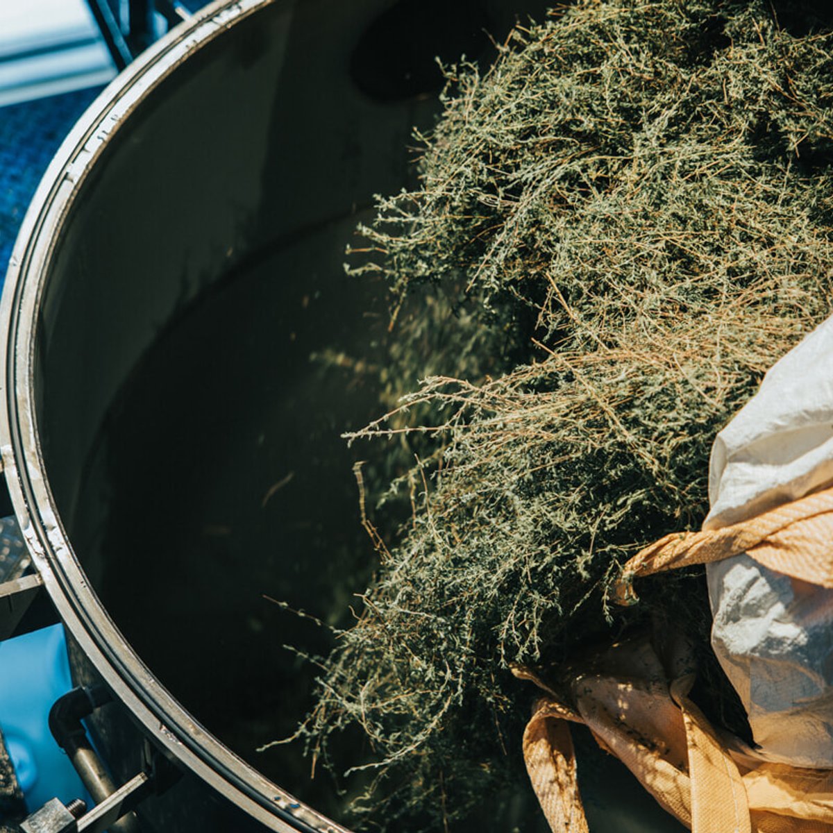 佐賀・呼子に生まれたスリーの精油蒸留所で、国産ハーブの恵みをチャージ。