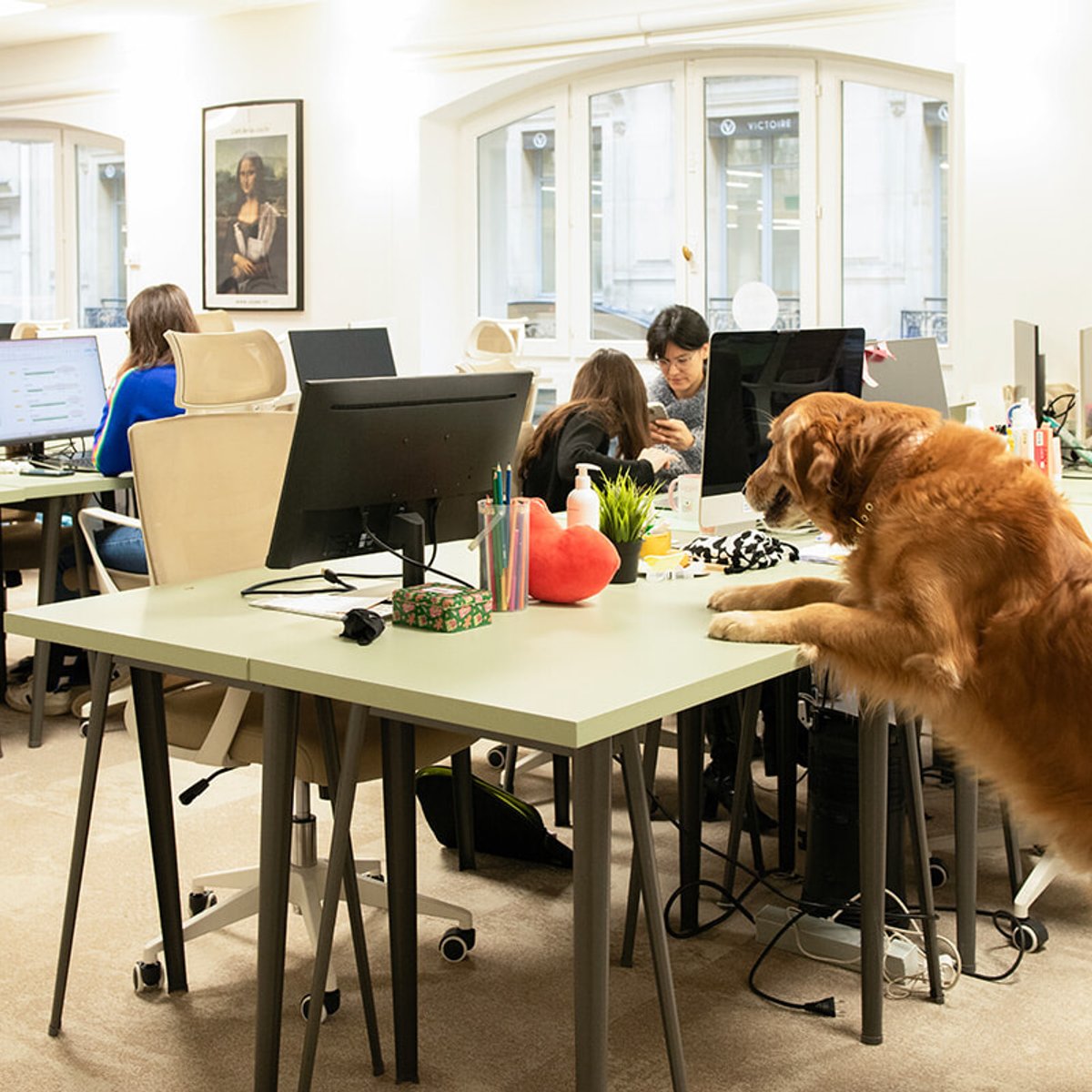 愛犬とともに出社！ パリの注目ブランド「ジューヌ」で見つけた心地いいオフィスの在り方。