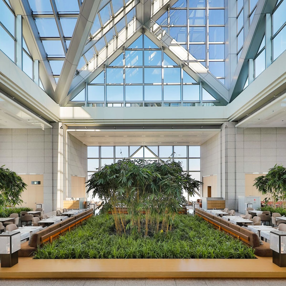 【パーク ハイアット 東京／東京】リニューアルを経て再開業した愛され続けるホテルの物語。