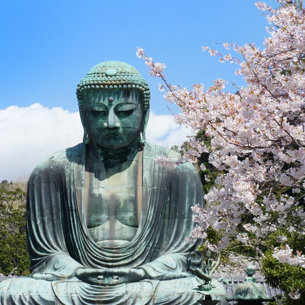 鎌倉在住エディターが厳選！ 桜をめぐる、春の鎌倉さんぽ。