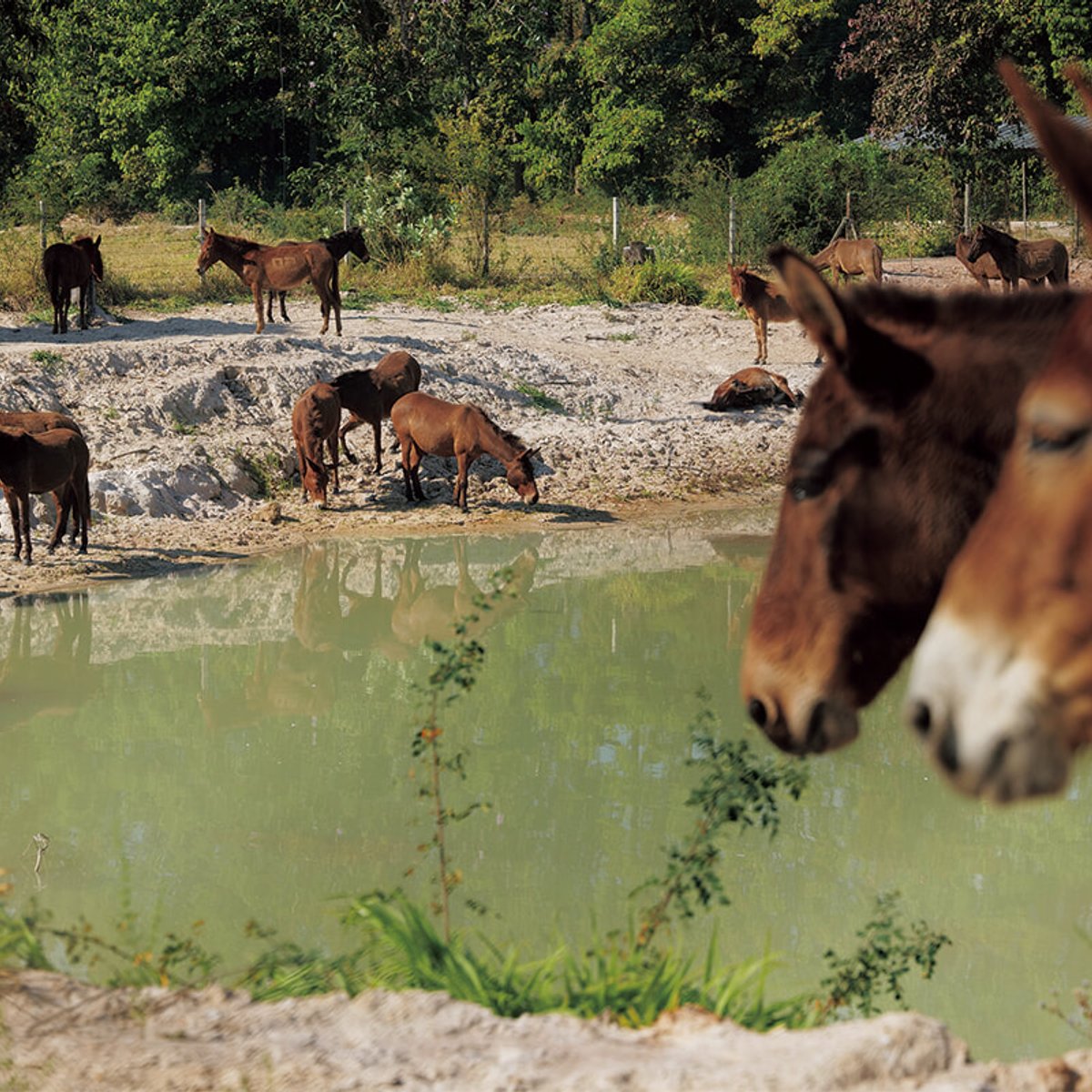 タイで迎える爽やかな春。チェンマイの街で息づく「見えない存在」とは。