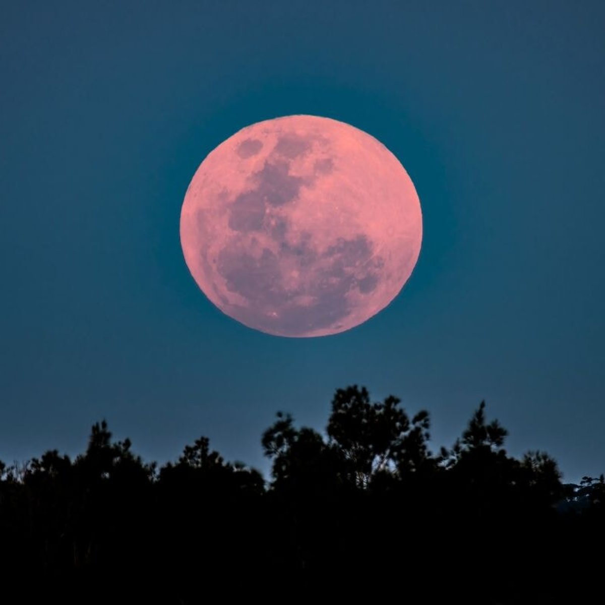 2026年4月2日の満月「ピンクムーン」。桜と重なる夜、見頃は何時？天秤座の満月からのメッセージも。