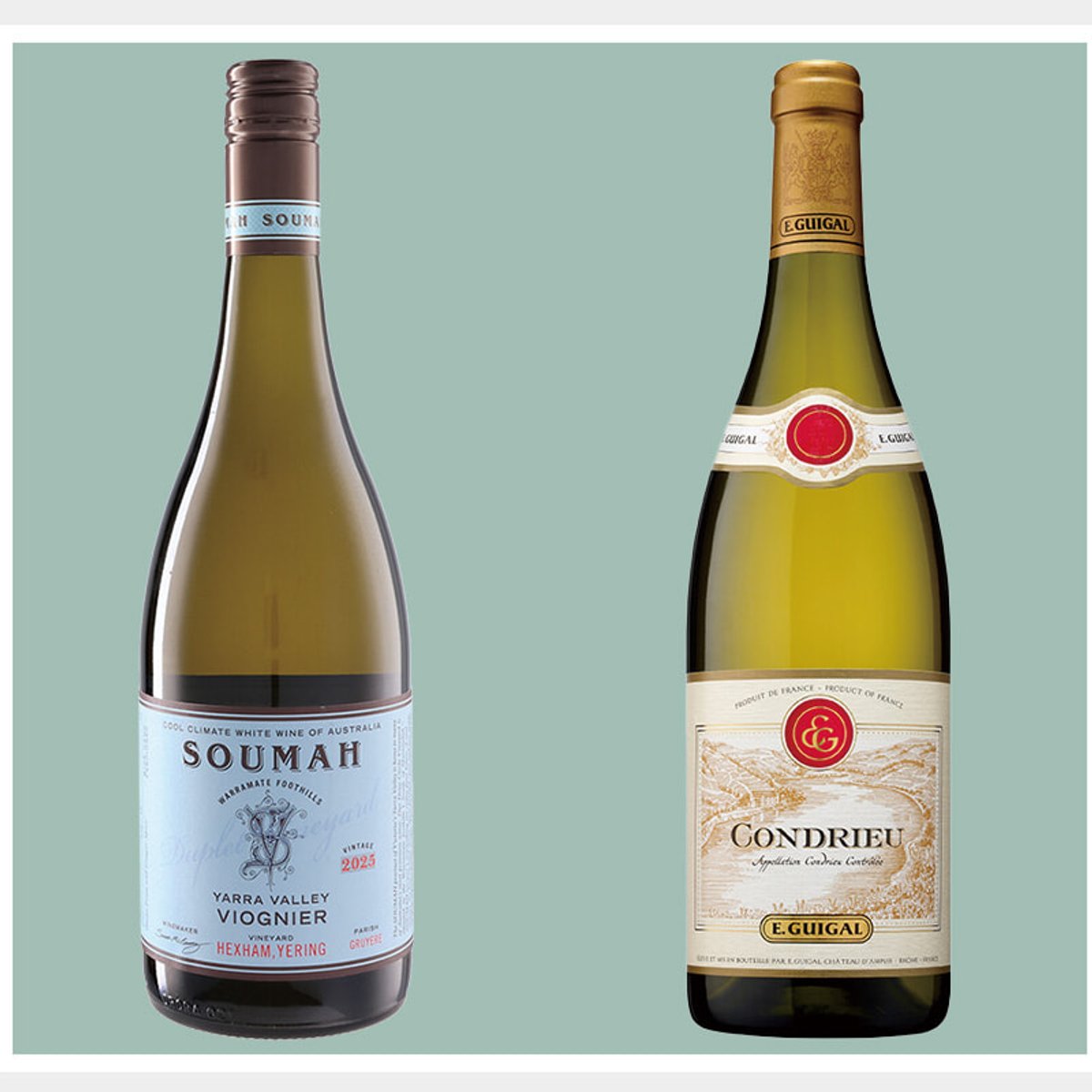 モモやアプリコット香る華やかな白ワイン品種、ヴィオニエとは？ ワインジャーナリスト・柳忠之が解説！