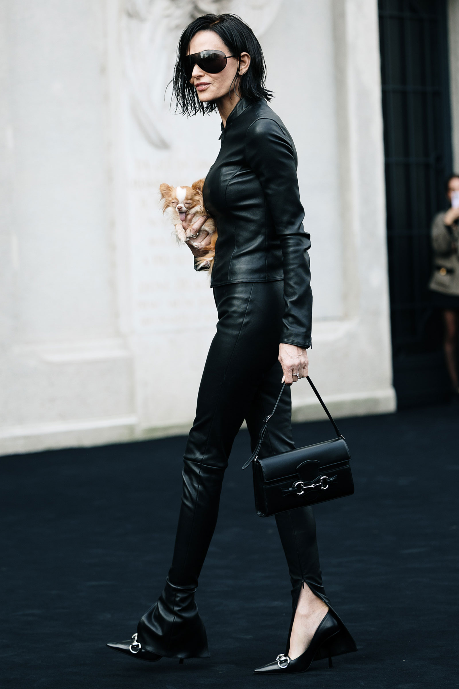 デミ・ムーアの愛犬チワワ、ピラフ