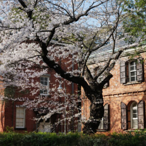 上野にやってきたチュルリョーニス。