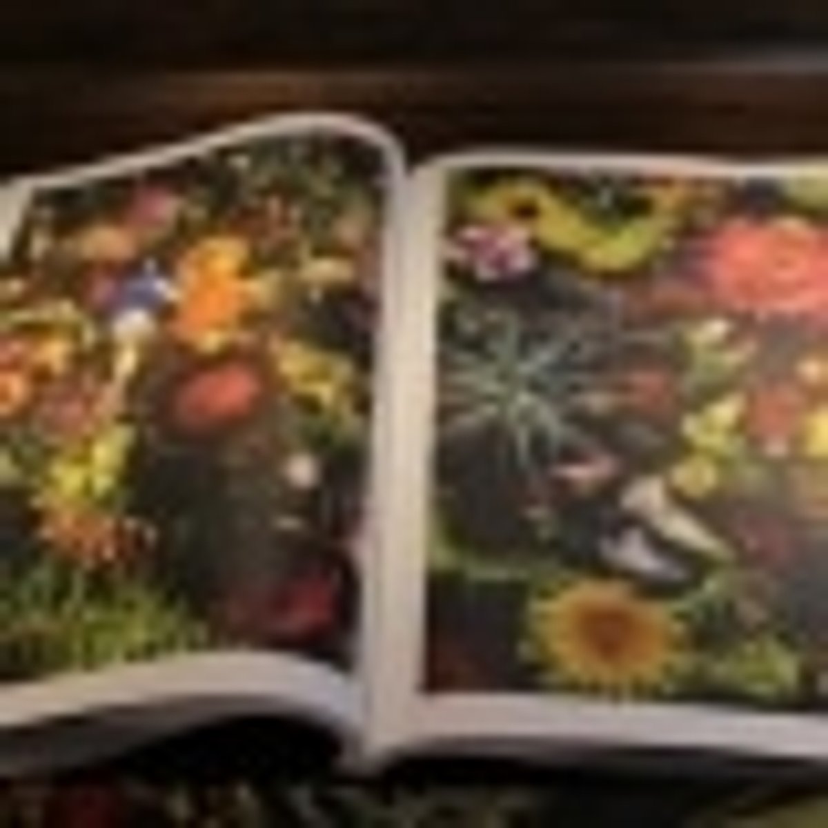 定価30万円！ 世界限定50部！！ 空前のフラワーアート作品集