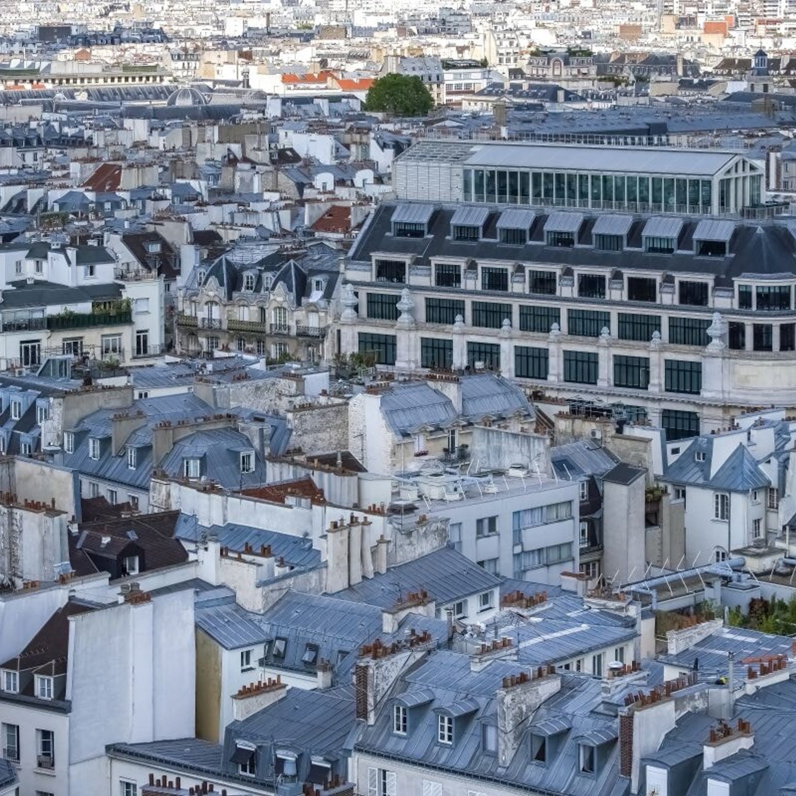 パリ・マレ地区の治安や買い物、ホテル、レストランなどを紹介。