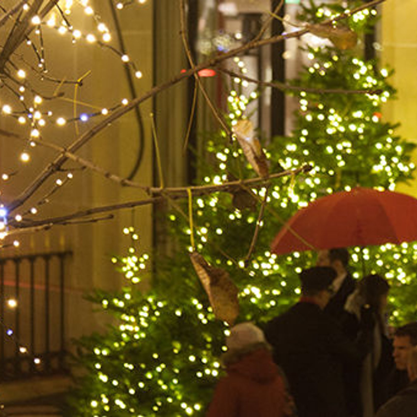 ファンタジーな魔法にかかる、<br>パリのクリスマス巡り。