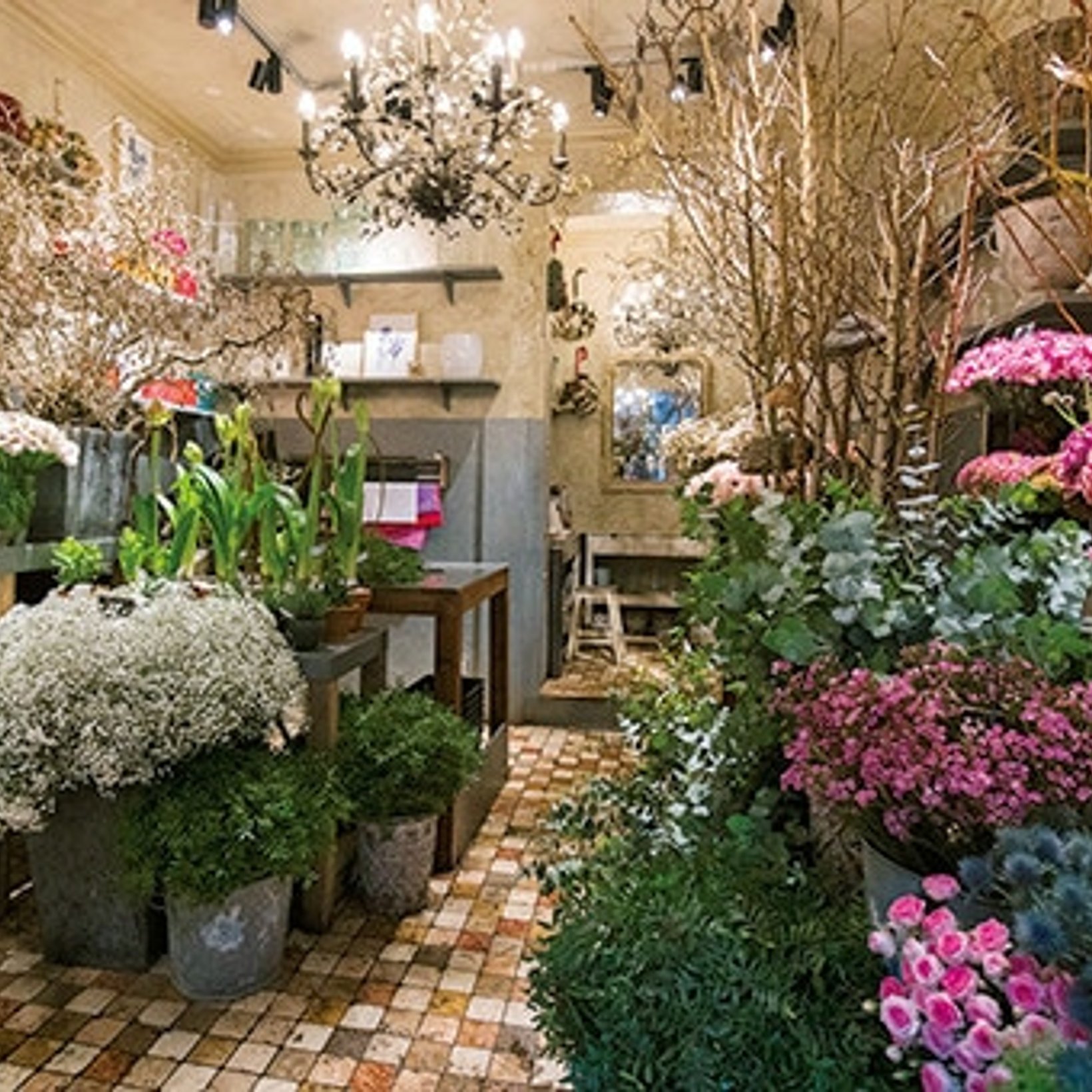 パリでいちばん花が似合う街、モンマルトルの花屋さん。