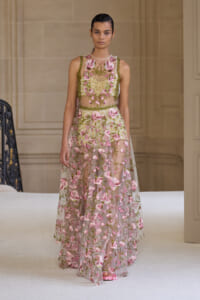 Model on a runway wearing a sheer pink gown with pink floral embroidery and green vines.