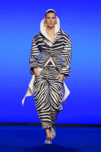 Model on a runway wearing a bold zebra-print suit with an oversized white collar, gold buttons, and metallic shoes against a blue backdrop.