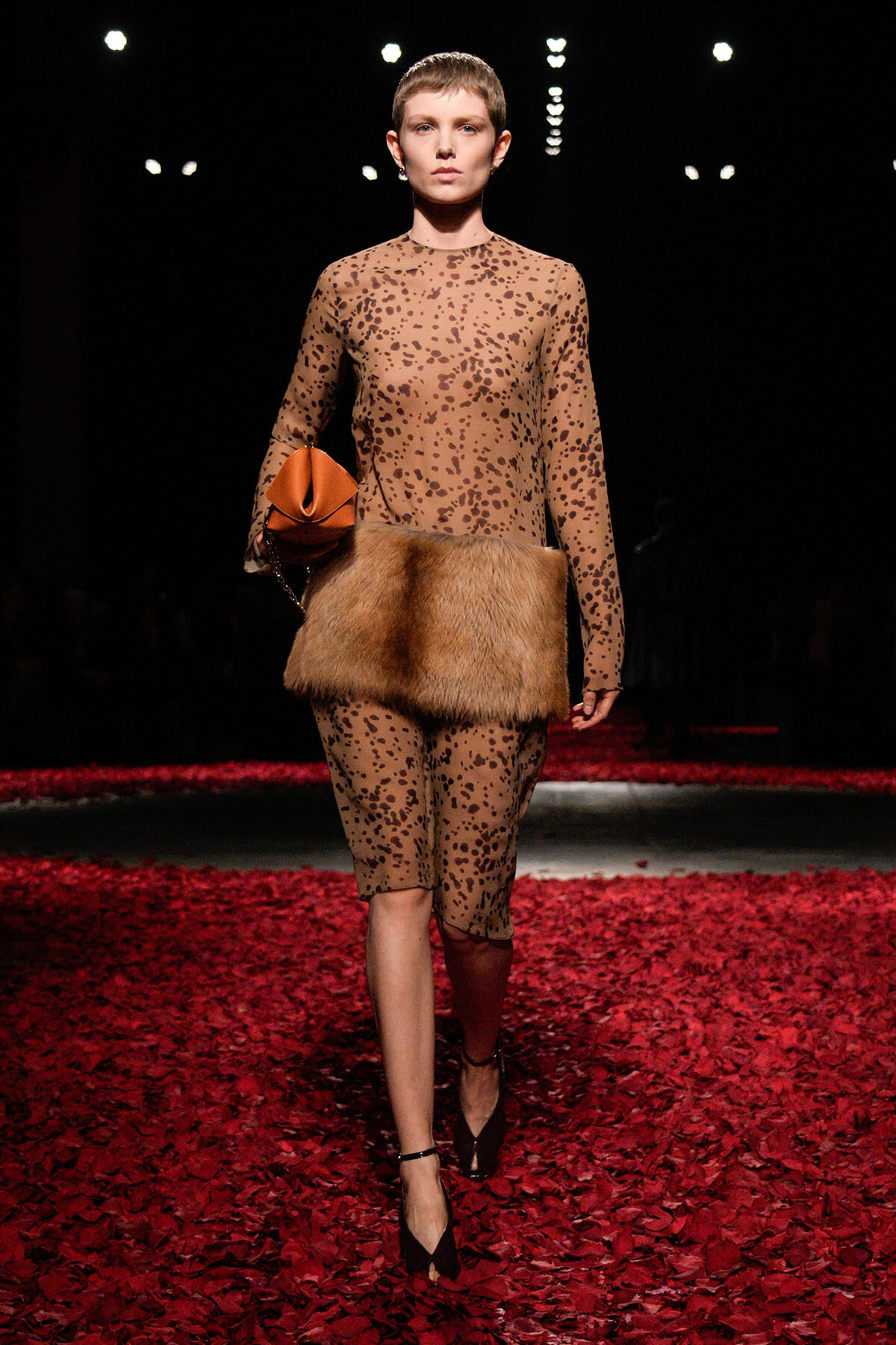 Model walks the runway in a beige leopard-print sheer dress with a thick fur waist belt, carrying an orange clutch on a red petal-covered catwalk.
