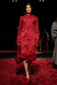 Model wearing a long red feathered dress walking on a petal-covered runway.