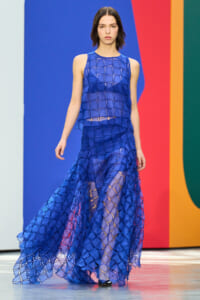 Model walking a runway in a cobalt blue, grid-patterned sheer dress with a matching underlayer against a colorful backdrop.
