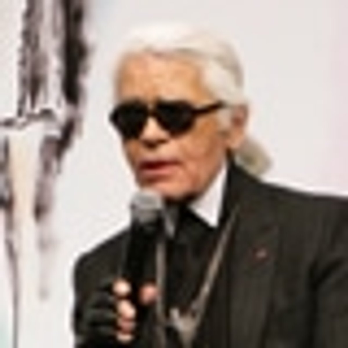 シャネルのイベントに合わせて来日した、カール・ラガーフェルド氏記者 