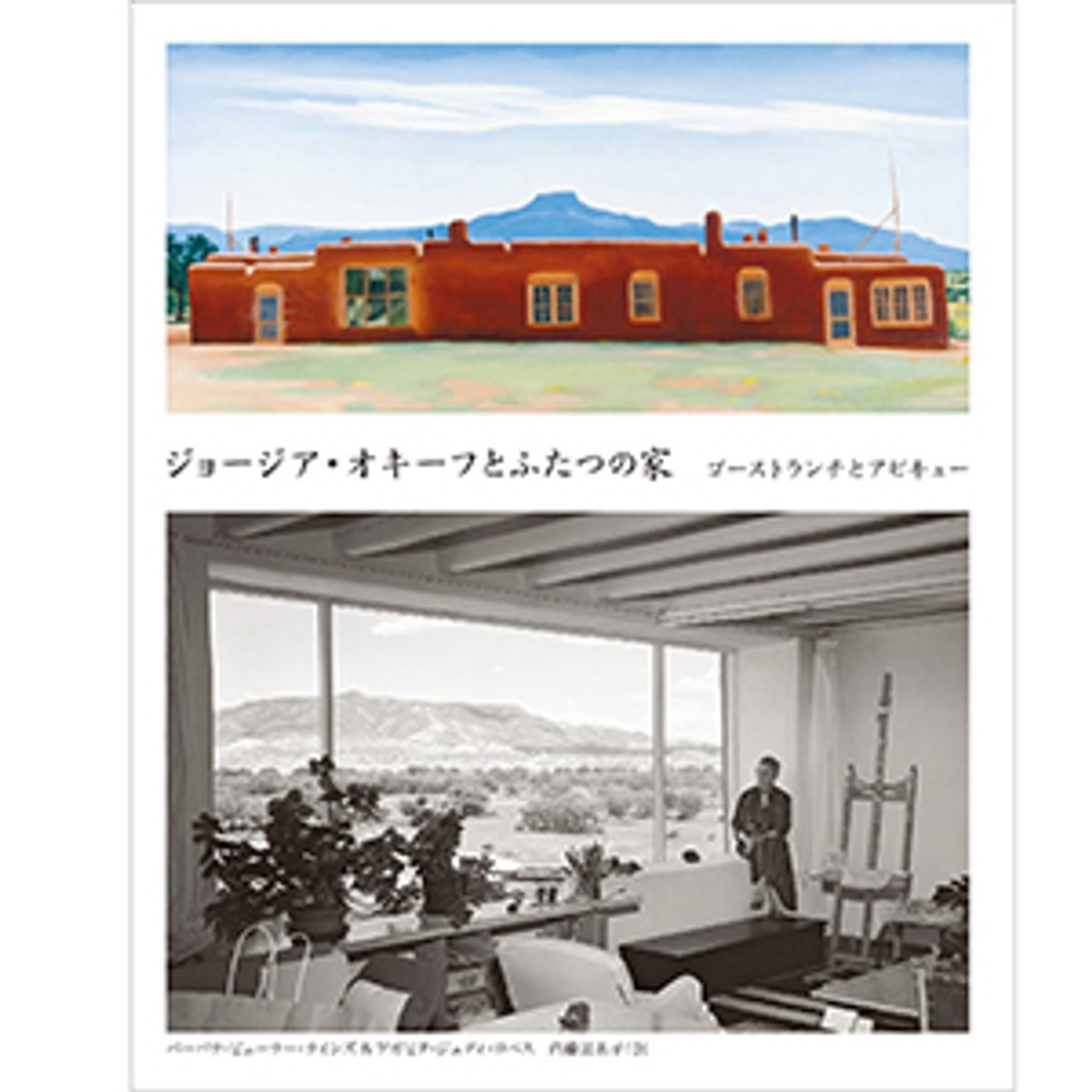 post_2539-1x1-3.jpg